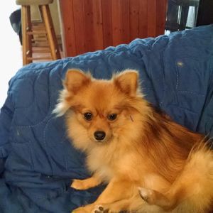 Meet your Posher, Linda